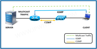 MULTICAST3