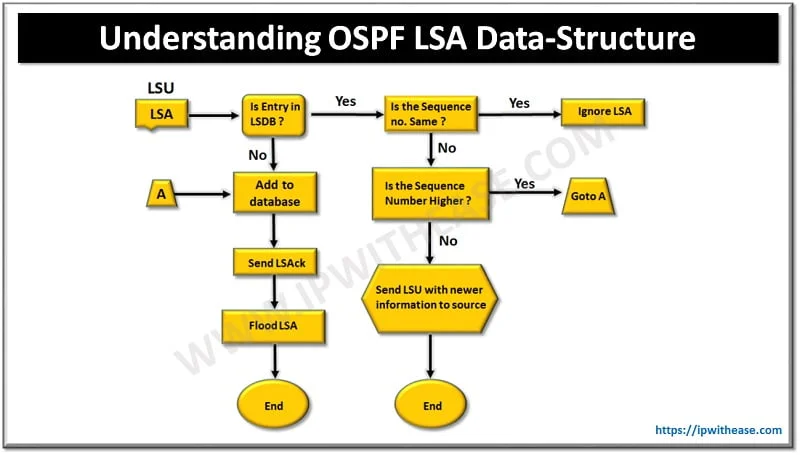 Understanding OSPF LSA Data-Structure