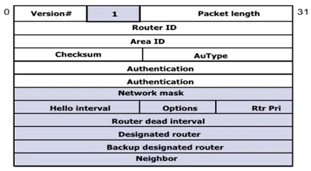 OSPF Packet Types: The Ultimate Guide 2025 3 ospf-packet-types