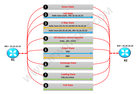 OSPF Neighbor States | IP With Ease | IP With Ease