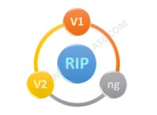 rip-40-interview-questions