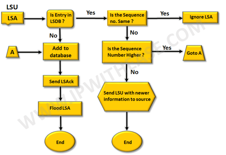 Understanding OSPF LSA Data-Structure 1 understanding-ospf-lsa-data-structure