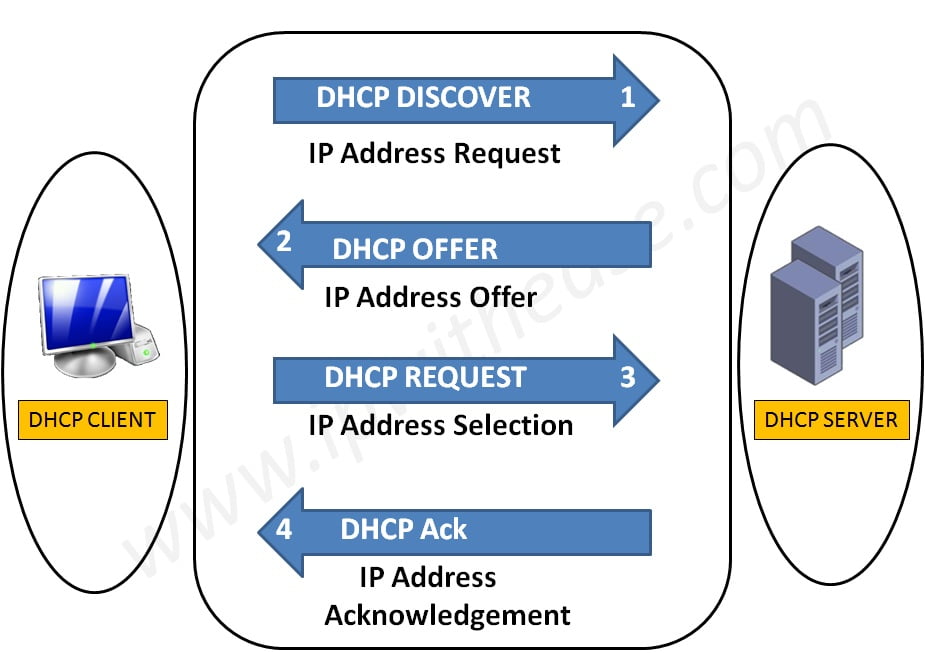 dhcp ip address assignment process