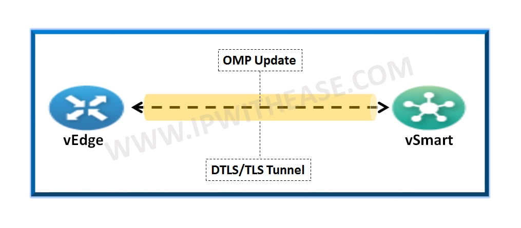 Difference Between CIFS And NFS | IP With Ease | IP With Ease