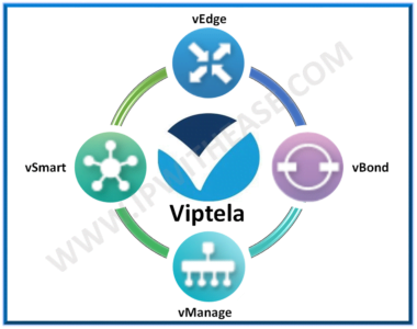 Viptela Network Interfaces