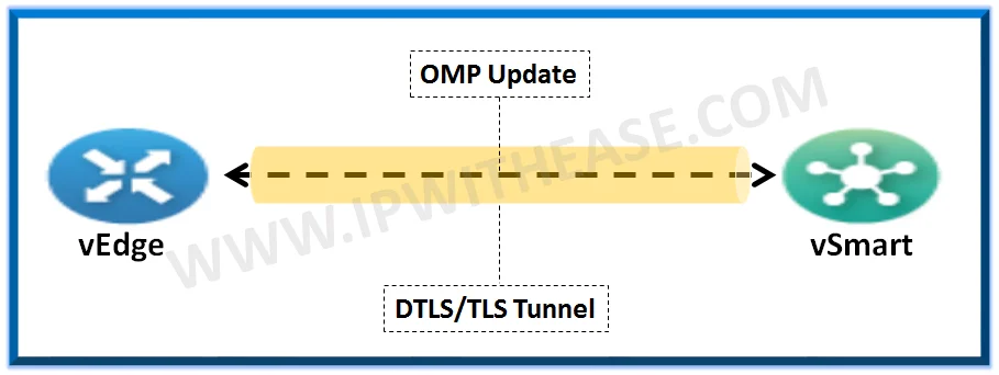 Introduction to Overlay Management Protocol in Viptela 1 overlay management protocol