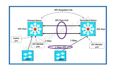 Introduction to VPC in Nexus v0.1a