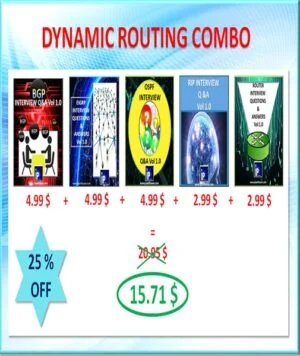 Dynamic Routing Interview Questions & Answers Combo