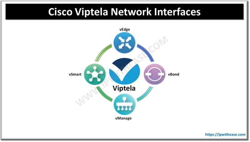 Cisco Viptela Network Interfaces