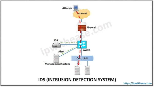 What is IDS Security? - IP With Ease