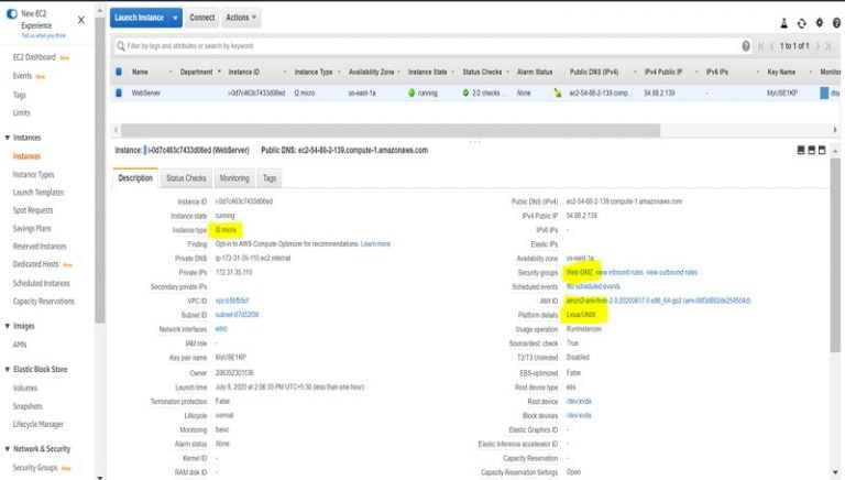 Hosting a Web Server on AWS EC2 Instance - IP With Ease