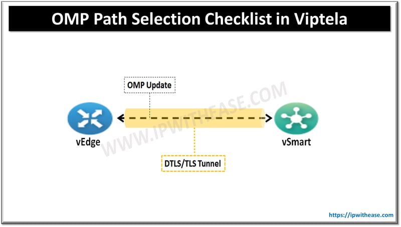 OMP Path Selection Checklist in Viptela