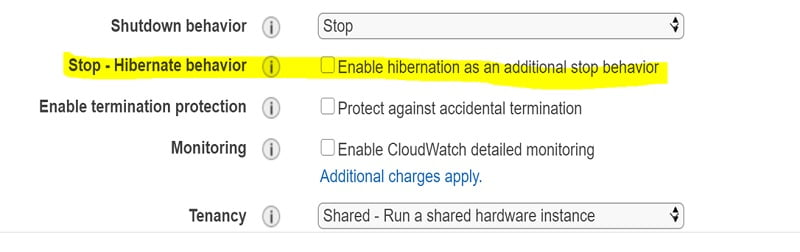 ec2 hibernation 1