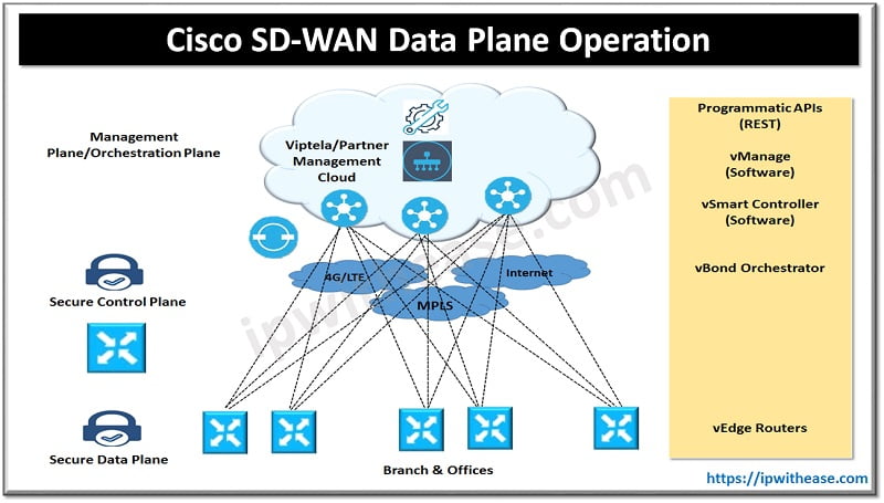 cisco sd wan data plane operation