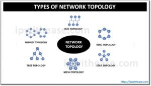 Introduction to Network Topology & its Types - IP With Ease