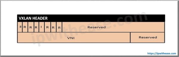 VXLAN vs Geneve: Understand the difference - IP With Ease