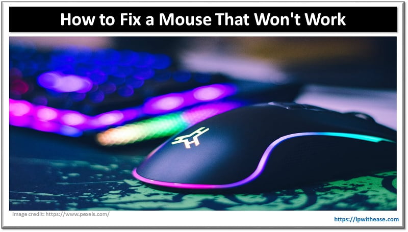 How to Fix a Mouse That Won't Work 3 Fix a Mouse