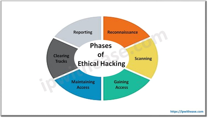 Why Are Ethical Hackers Important for Cybersecurity? 1 Phases of ethical Hacking