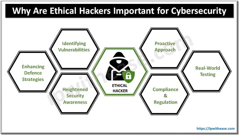 Why Are Ethical Hackers Important for Cybersecurity