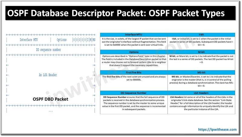 OSPF DBD packets