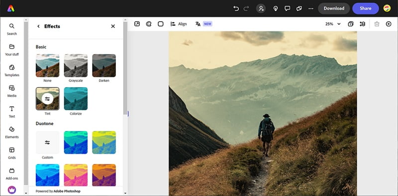 Top 5 Photo Editing Software for Windows 11 - IP With Ease