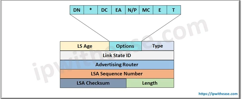 15 OSPF BIT Types Explained 2 OSPF bit types